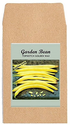 KNESSiN Beans Seed(50 per packet)