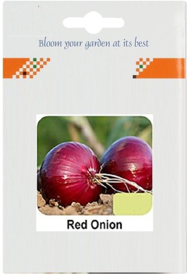 CYBEXIS Red Nasik Onion1000 Seeds Seed(1000 per packet)