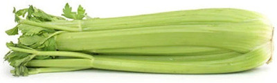 ENTENT Organic Green Celery Vegetable Seed(120 per packet)