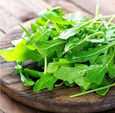 VibeX VXI-19 - Arugula for Planting - (750 Seeds) Seed(750 per packet)