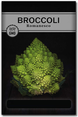 Biosnyg QAN-16 Romanesco Broccoli Seed-[800 Seeds] Seed(800 per packet)