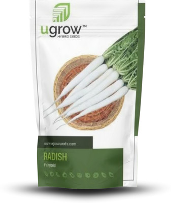 ugrow Fast Growing Radish Seeds for Home Garden – Crisp & Nutritious Roots Seed(30 per packet)