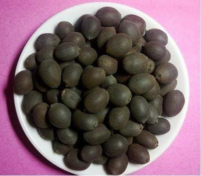 Shiv-Shakti Group Lotus Seed(50 per packet)