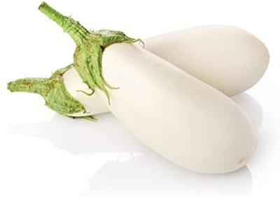 CYBEXIS White Brinjal Eggplant Seeds Outdoor Planting1200 Seeds Seed(1200 per packet)