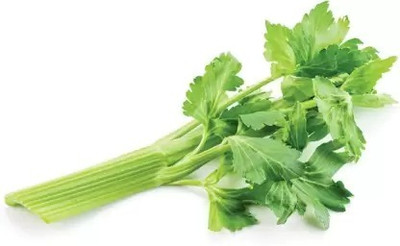 MAA Celery, Ajmod Seed(20 per packet)