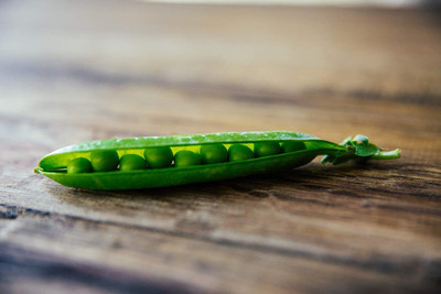 VibeX ® LXI-438 Lincoln Shell Pea Garden Seeds Seed(50 per packet)