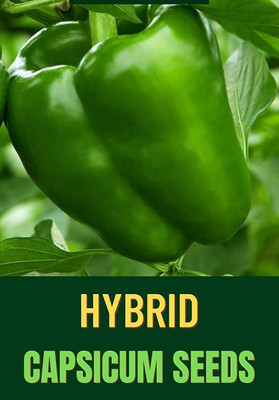 CYBEXIS PUAS-94 - Capsicum Green - (450 Seeds) Seed(450 per packet)