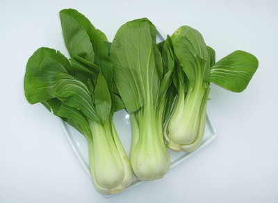 WILLVINE MEH -XI Bok Choy Sweet Cabbage Chinese [2.5g] Seed(750 per packet)
