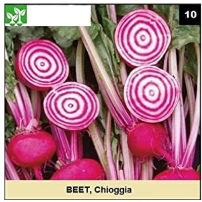 CYBEXIS CHIOGGIA BEETROOT1000 Seeds Seed(1000 per packet)