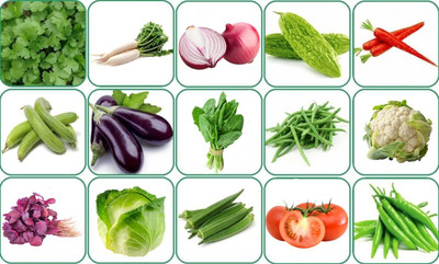 DEYS AGRO ® 15 Variety of Organic Vegetable Seeds Combo Pack indian seed bank Seed(53 per packet)