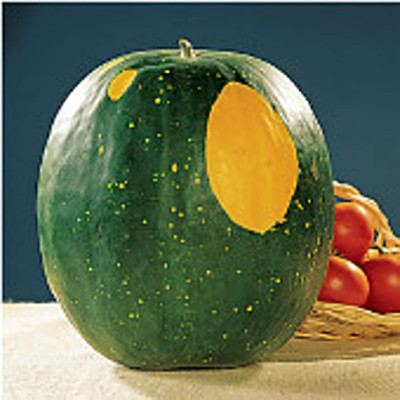 Qualtivate HYB-2A Moon & Stars Watermelons (Red Flesh) Seed(100 per packet)
