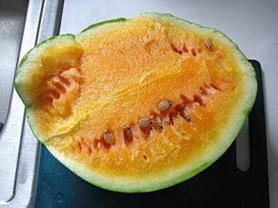 Biosnyg High Germination Desert Watermelon Fruit Seeds For Planting-(50 Seeds) Seed(50 per packet)