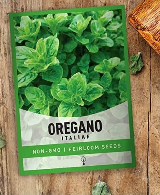 Qualtivate XXX-1A Oregano Seeds- Italian- Heirloom Seed(200 per packet)