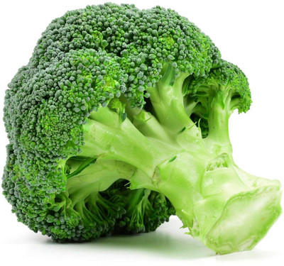 WILLVINE KGF -VI Vegetable Seeds | Broccoli Seeds [5g] Seed(1500 per packet)