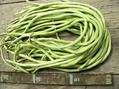 AloGardening Snake Bean Seed(40 per packet)