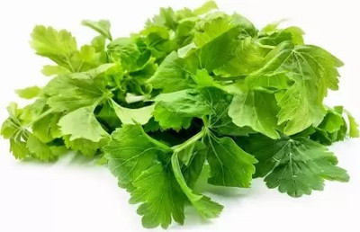 MAA Celery, Ajmod Seed(20 per packet)