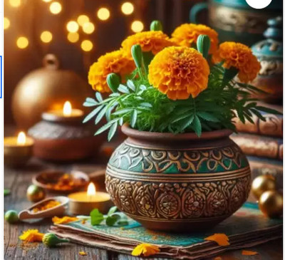 SeedSutra ™ Genda Phool seeds, African Marigold Flower Seeds Hybrid, Premium Mix Seed(16 per packet)