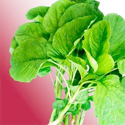 KUSH Katwa Data Seeds Seed(1000 per packet)