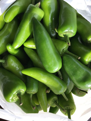 GREENSEA Hybrid Teekha Mirchi, Bullet Chilli Seed(63 per packet)