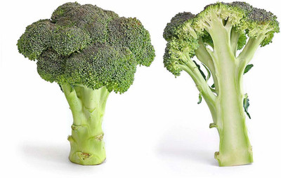 CYBEXIS XLL-86 - Broccoli Hybrid f1 - (1350 Seeds) Seed(1350 per packet)