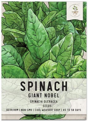 CYBEXIS PUAS-9 - Giant Nobel Spinach - (2250 Seeds) Seed(2250 per packet)