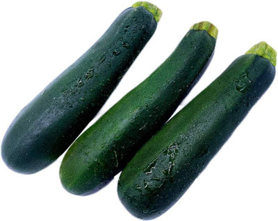 KNESSiN XII-3 Zucchini Seed(30 per packet)