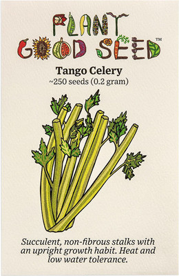 CYBEXIS HUA-48 - Tango Celery - (2250 Seeds) Seed(2250 per packet)