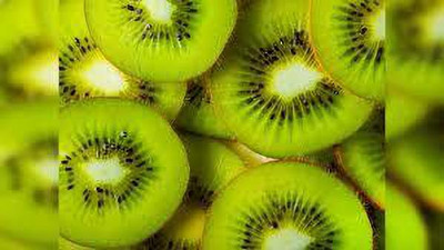 XOLDAA KIWI HYBRID F1 QUALITY FRUIT Seed(163 per packet)