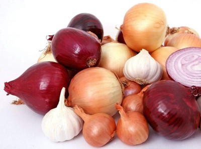 Qualtivate HUA-7A Multicolor Onion Seed Mix Seed(500 per packet)