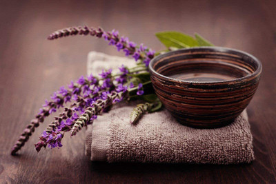 VibeX TLX-24 - Garden Sage-Salvia Officinalis - (1350 Seeds) Seed(1350 per packet)