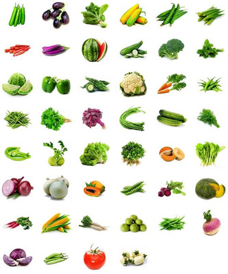 R-DRoz Combo of Vegetables Seeds (2250+ Seeds) Seed(2300 per packet)