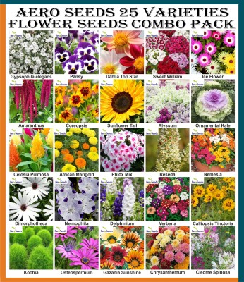 Aero Seeds Combo of 25 varieties flower seeds with instruction manual. Seed(25 per packet)