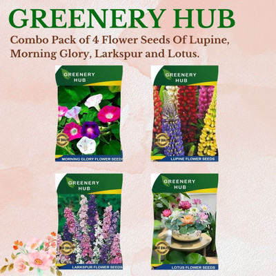 Greenery Hub Ultimate Home Gardening Seed Combo - 4 Assorted Packs for Your Garden Seed(4 per packet)