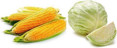 Aywal Desi Corn and Organic Cabbage Green Seed(100 per packet)