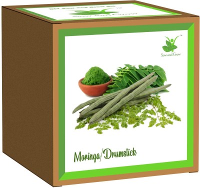 Sow and Grow Seed Starter Grow Kit of Moringa/Drumstick DIY Easy Grow it Yourself Gardening Seed(1 per packet)