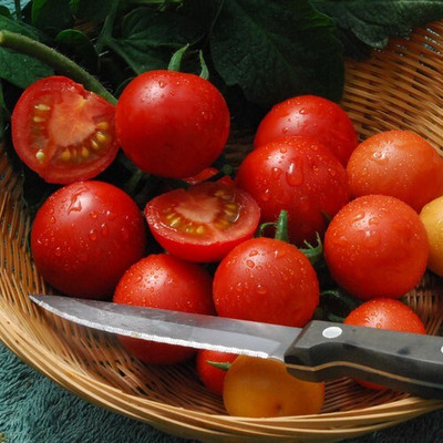 Avysa Tomatoes Cherry Red टमाटर Seed(200 per packet)