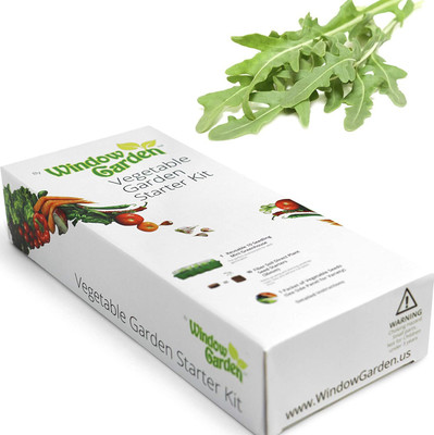 CYBEXIS NBIR-42 - Arugula Roquette - (2250 Seeds) Seed(2250 per packet)