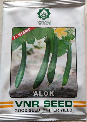 VNR Sponge Gourd, Alok - 50 gm Seed(50 g)