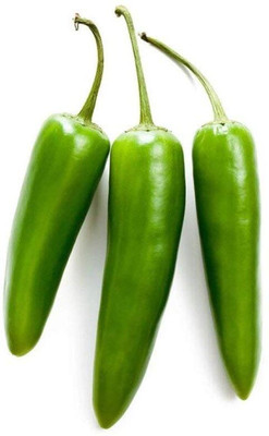 KNESSiN F1 Hybrid Achari Chilli Seed(200 per packet)