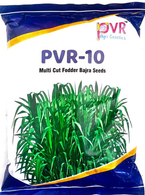 KRASHAK BAJRA SEED MULTI CUT FODDER Seed(1 per packet)