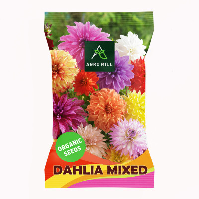 AGRO MILL DAHLIA MULTIFLORA DOUBLE MIXED PREMIUM QUALITY FLOWER Seed(20 per packet)