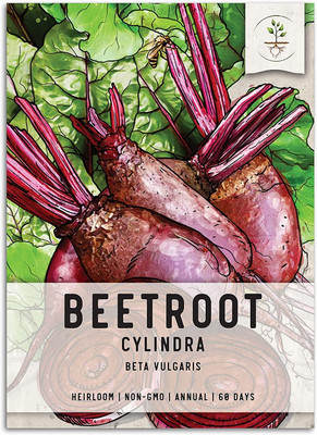 Biosnyg QIQ-58 Cylindra Beetroot (Beta vulgaris)-[800 Seeds] Seed(800 per packet)