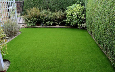 wequality best bermuda grass seed/Lawn Grass Seeds 9500 Seed(9500 per packet)