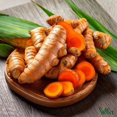 Silba Row Turmeric, Arishina Seeds Seed(230 g)