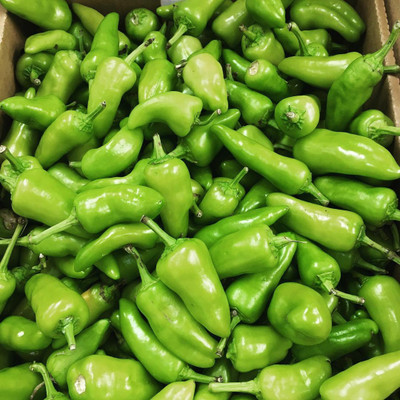 granthi Bullet Chilly/Green Chilly/Pickled chilli Seed(200 per packet)