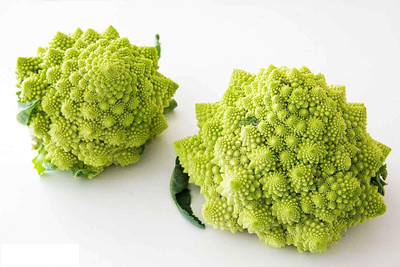 WILLVINE PUSA -II Broccoli Cabbage Romanesco [2.5g] Seed(750 per packet)