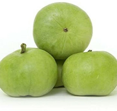 Farmonix Org_228_Tinda/Apple Gourd Premium Quality Seeds Seed(150 per packet)