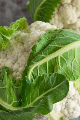 Greenco white cauliflower,gobhee seeds Seed(20 per packet)