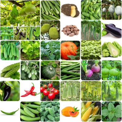 abiswas Summer Season 40 varieties Vegetable Seed(2600 per packet)