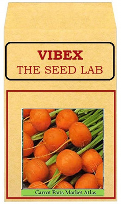 CYBEXIS Round Carrot Hybrid Seeds2000 Seeds Seed(2000 per packet)